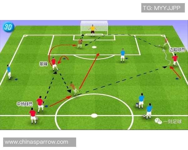 足球球星成才比例分析：从青训系统到顶级联赛的培养路径与挑战