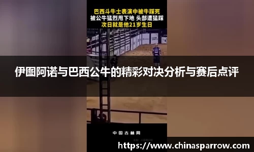 伊图阿诺与巴西公牛的精彩对决分析与赛后点评